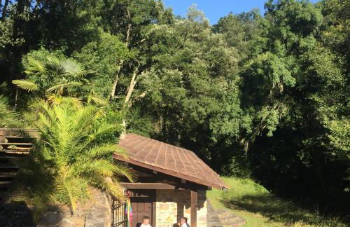 O Muíño da Balsiña - Foto 2