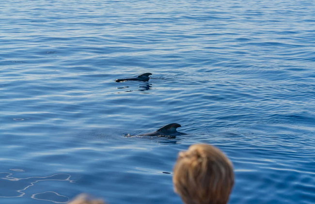 Escursione a Masca e Los Gigantes - Foto 4