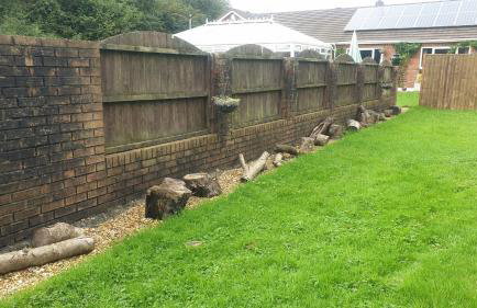 Chestnut Lodge Annex - Foto 8