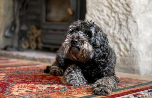 Jenny Wren Cottage - Photo 8