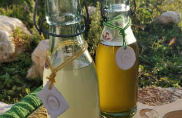 Poço e Meio - Padel & Pool - Foto 59