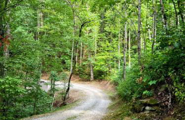 Whiskey Run Cabin, Spectacular Mountain Views - Foto 33