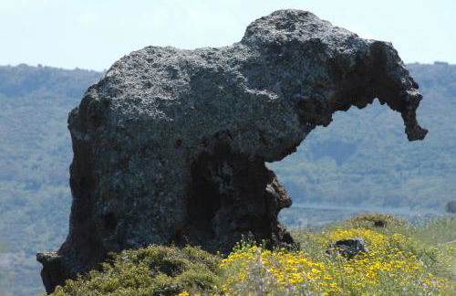 Casa Vacanza LiHele - Locazione Turistica - Foto 57