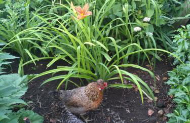 Oase der Geborgenheit - Foto 3