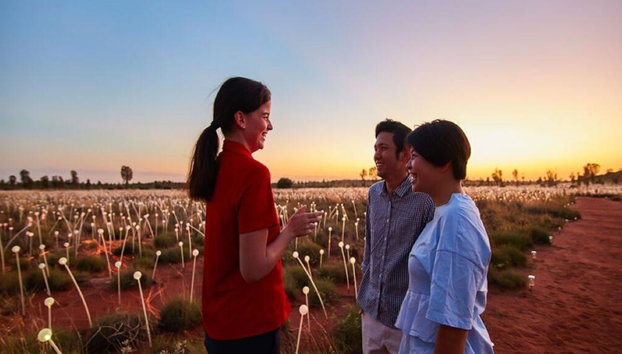 Uluru Sonnenaufgang und Field of Light – Tour in kleiner Gruppe - Foto 2