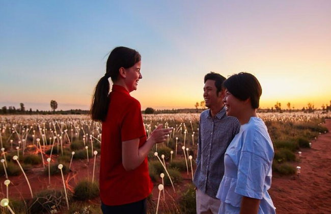 Uluru Sonnenaufgang und Field of Light – Tour in kleiner Gruppe - Foto 2
