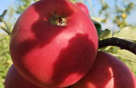 Agriturismo Fior Di Campo - Foto 90