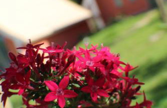 Chalés Recanto Paraíso - Foto 38