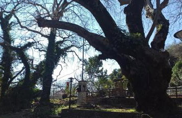 Δίδυμοι καταρράκτες apartment - Twin waterfalls apartment - Foto 23