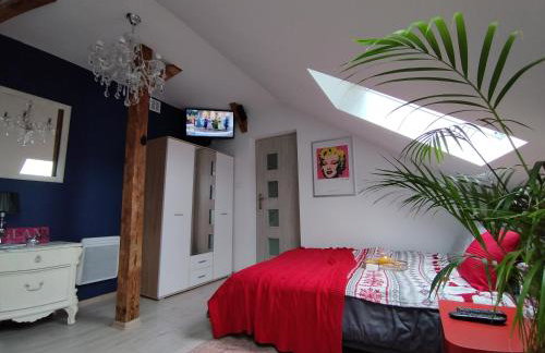 Ropienka ski micro - Foto 1