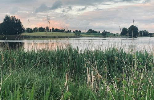 Urlaubsidylle Friedrichswalde - Foto 30