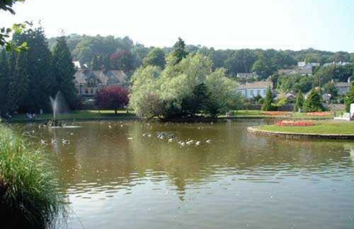 Woodlands Hotel & Pine Lodges - Foto 17