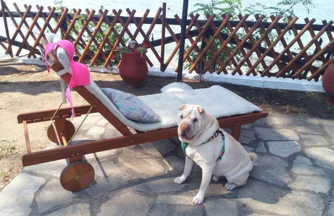 Beutiful House on the Beach in Vourvourou, Greece - Foto 15