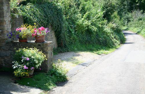 The Cottage Abbotsbury - Foto 6