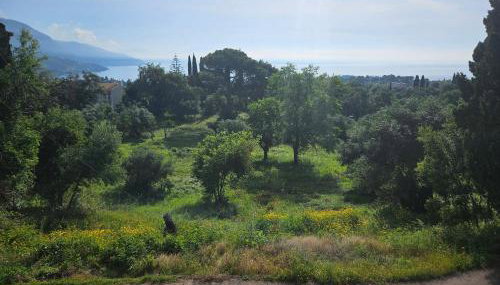 Sylvia's Sweet Home - Foto 4