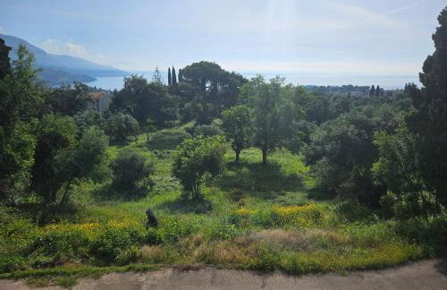 Sylvia's Sweet Home - Foto 4