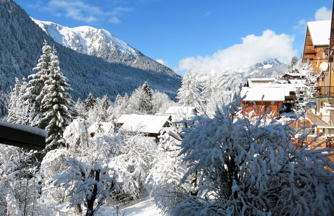 Le Petit Savoyard - Foto 28