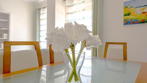 Caroline Du Sul - Foto 5