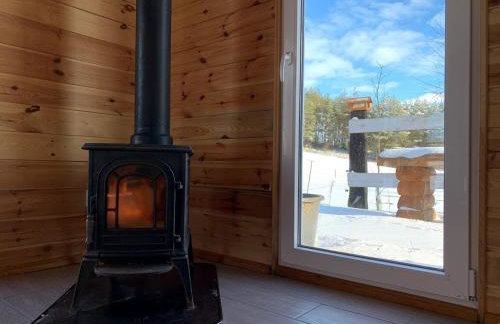 Toskania Kociewska - Photo 15