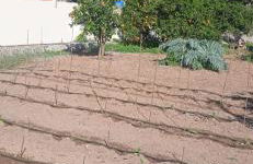 Caravana- Glamping Casa tortuga - Foto 77