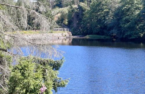 Waldgeflüster - Photo 16