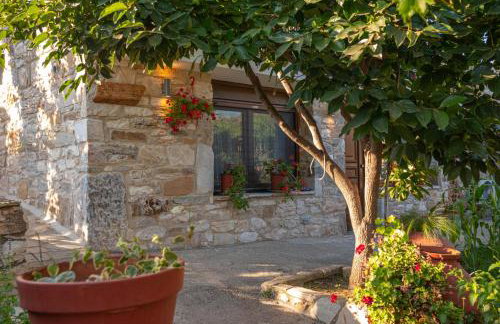 Balas House - Foto 1