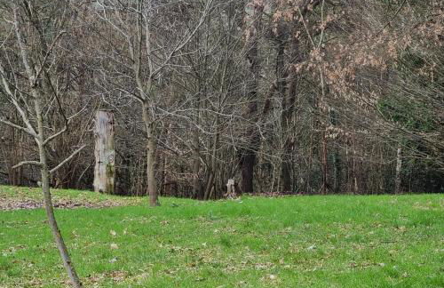 Ferienhaus Hochwald - Foto 32