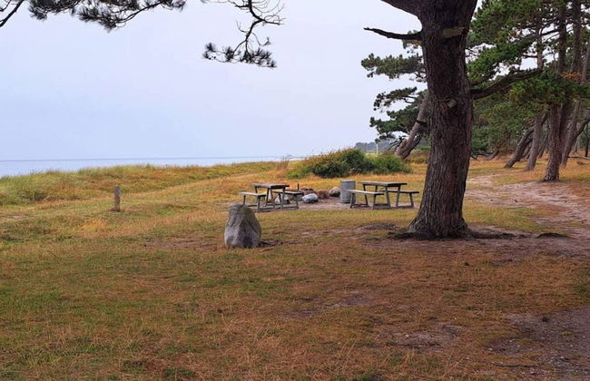 4 Person Holiday Home in Slagelse - Foto 16