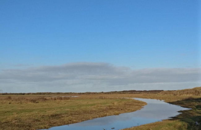 Traditional Villa With Dishwasher on Texel Near the Sea - Foto 36