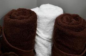 A Cabin in the City with a 5 Star Lush Backyard - Foto 31