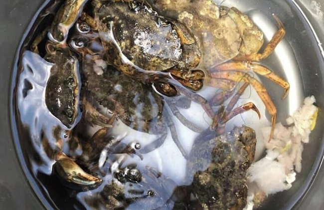 DaisyChain Getaways The perfect place to Stay Play and Getaway - Photo 39