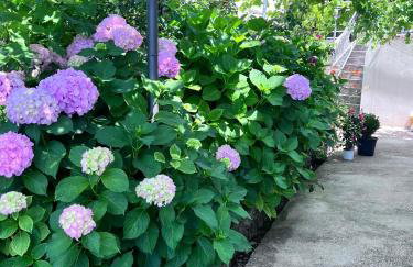 Villa Lile - Foto 22