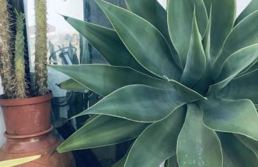 Captivating Studio Apartment in Mexilhoeira Grande - Foto 27