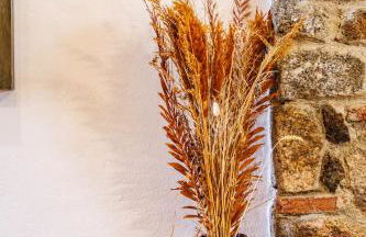 Casa La Antigua - Foto 6