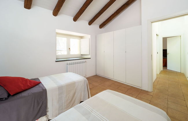 Nerello Mascalese - Foto 11