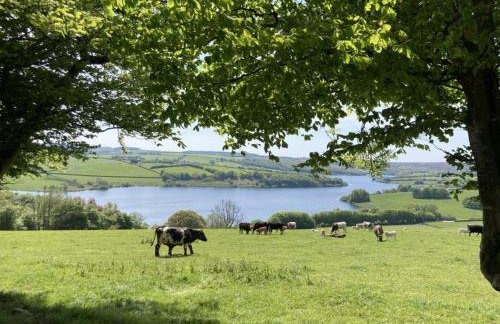 The Pony Stalls Brompton Regis - Foto 9