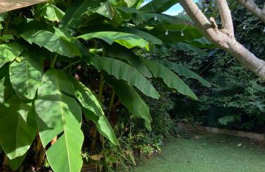 Très bel appartement avec jardin reposant - Foto 4