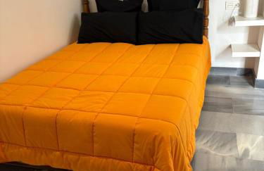 Estudi d art i natura - Photo 10