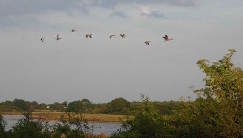Luckow Georg Asmussen Haus - Foto 5