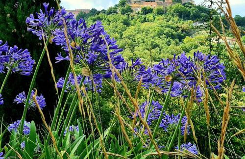 Provence villa with large pool and amazing view - Foto 14