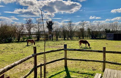 Vue Poneys, 40min Mt St Michel 30min Mer Draps Serviettes Baie Normandie Cottage - Foto 15
