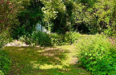 Lime Tree House - Foto 6