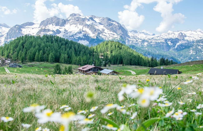 in the Berghanghaus"l Obersalzberg - Foto 23