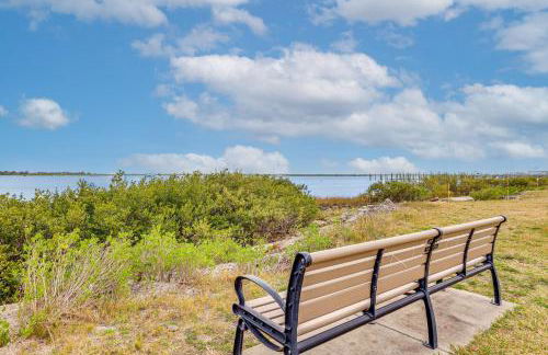 Watch Dolphins St Augustine Gem Near Downtown! - Foto 26