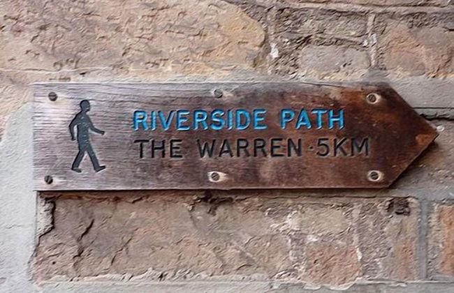 The Pavement Palace - Photo 14