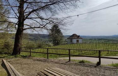 FeWo Sulzbachtal, Nähe Europa-Park, Rulantica, Schwarzwald, Feldberg - Foto 26