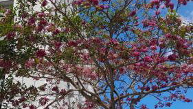 Apartamento Emaús - Foto 2