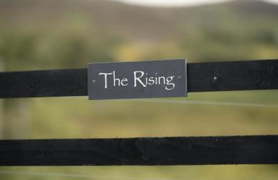 The Rising - Foto 20