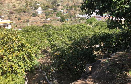 Casa Camino Tamadaba II (bottom home) - Foto 52