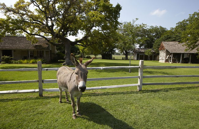 Settlers Crossing - Foto 47